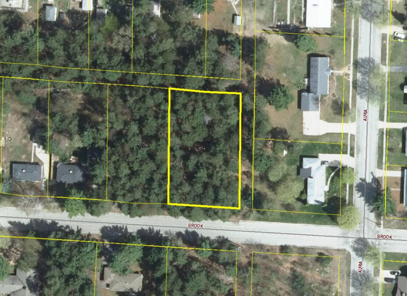 Property Photo:  Vl Brook Avenue  MI 49645 