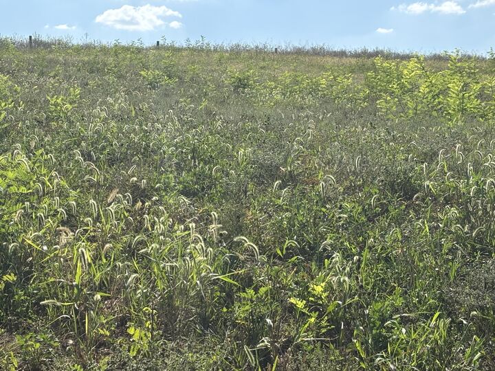 Property Photo:  0 1316 Hwy  KY 41086 