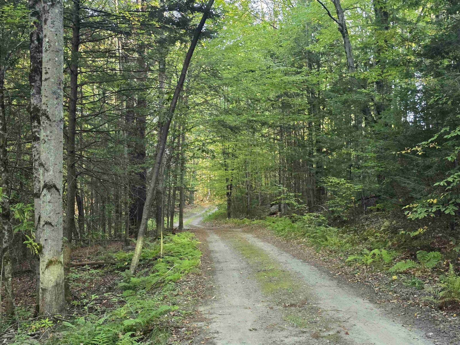 Property Photo: 0 Thayer Road VT 05158