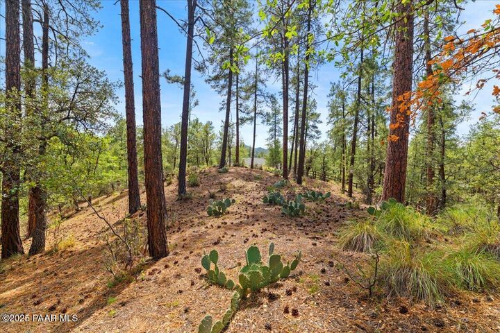 Property Photo: 5592 W Mountain View AZ 86305