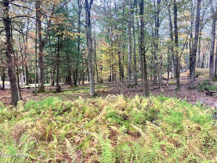 Property Photo: Butternut Road PA 18337
