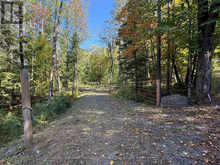 Photo de la propriété:  1378 North Mary Lake Road  ON P1H 2J3 