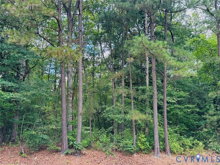 11301 Brooks Street  Greenwood VA 23059 photo