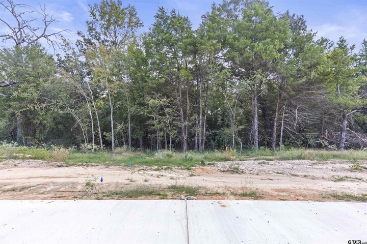 Property Photo:  13938 Cedar Hill Lane  TX 75704 