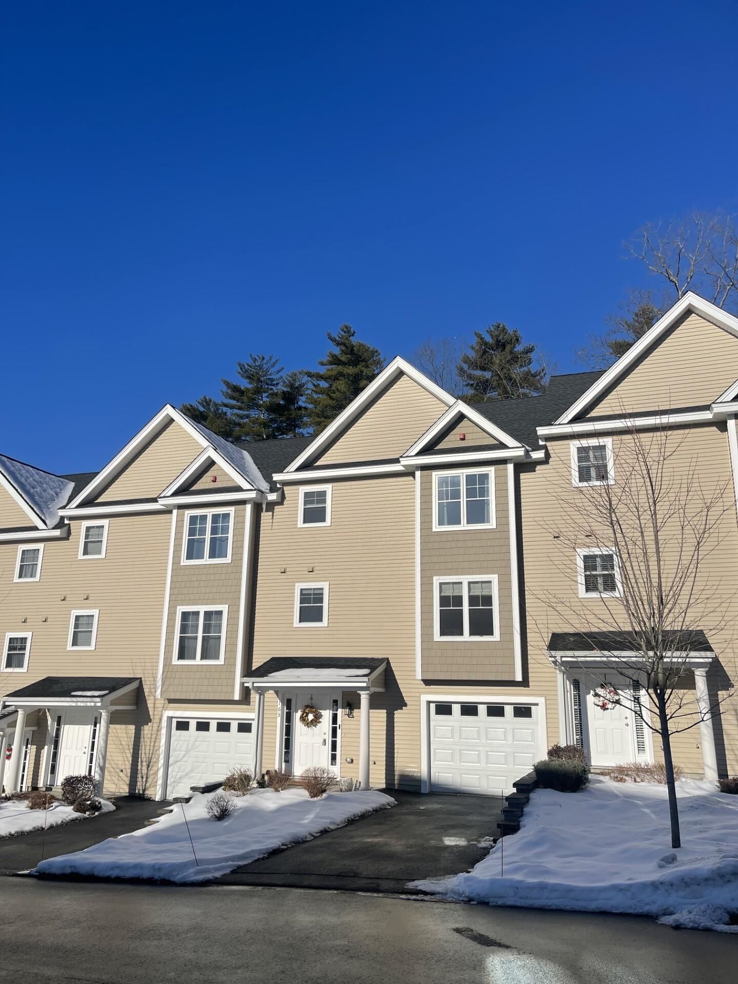 Property Photo:  163 Woodview Way  NH 03102 