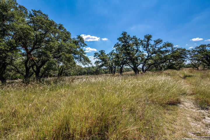 Property Photo: 190 Fallen Acorn TX 78606