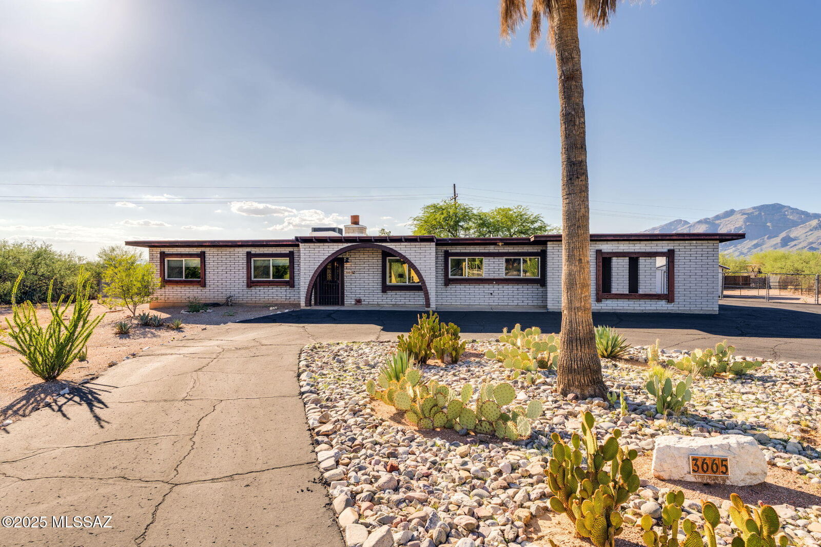 Property Photo:  3665 N Pellegrino Drive  AZ 85749 
