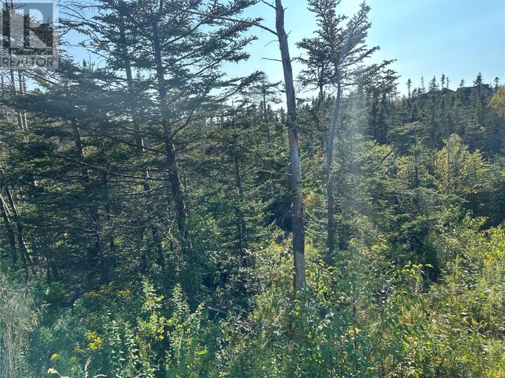 Property Photo:  195 Conception Bay Highway  NL A0A 2Z0 