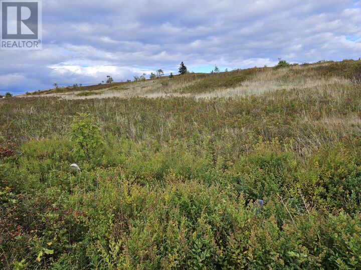 Property Photo:  0 Bareneed Road  NL A0A 1W0 