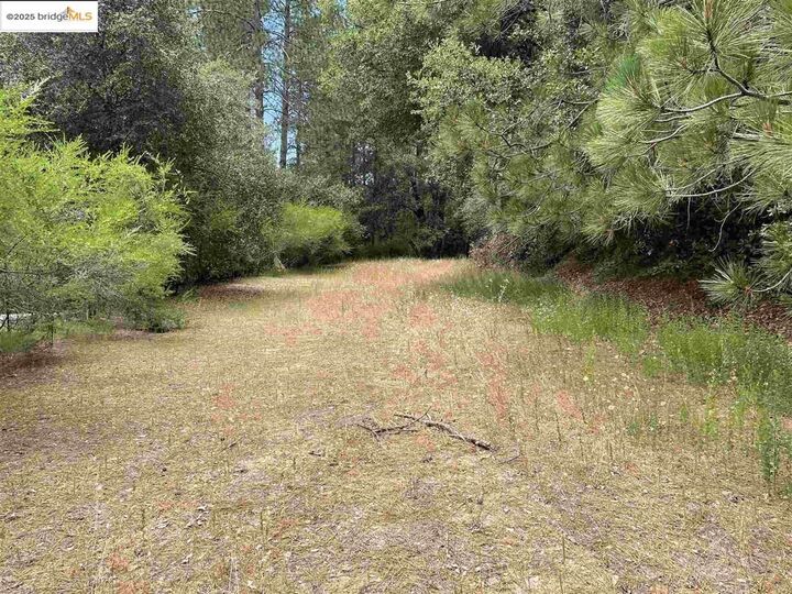 11797 Rambler Rd.  Columbia CA 95310 photo