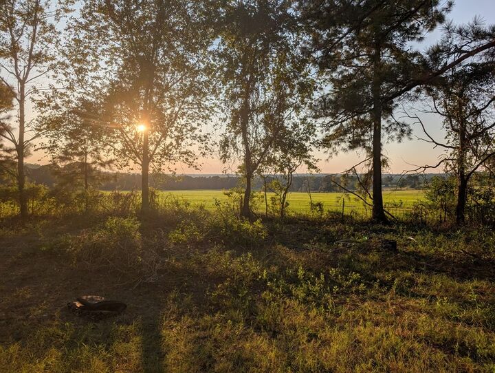 Property Photo: 349 New Hope Road GA 31058