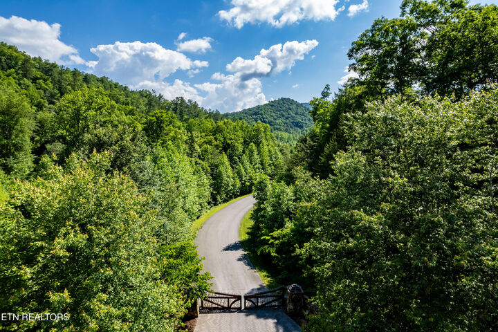 Property Photo: 454 Mt. John Luke Rd TN 37882