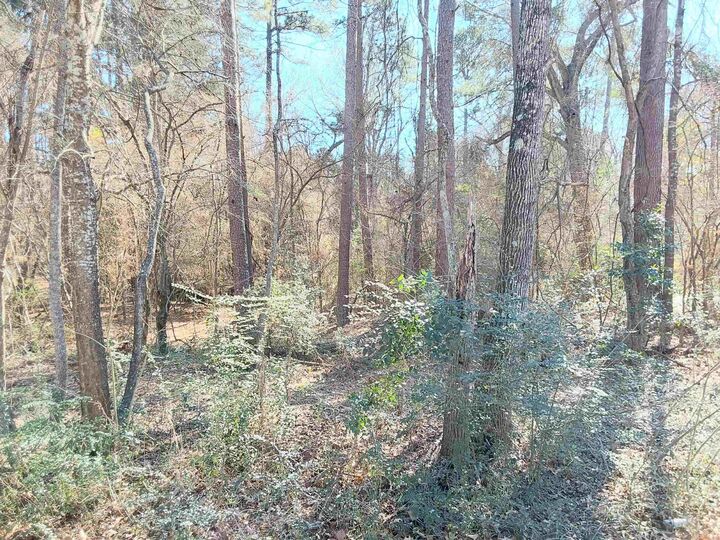 Property Photo:  Tbd Sh 149  TX 75691 