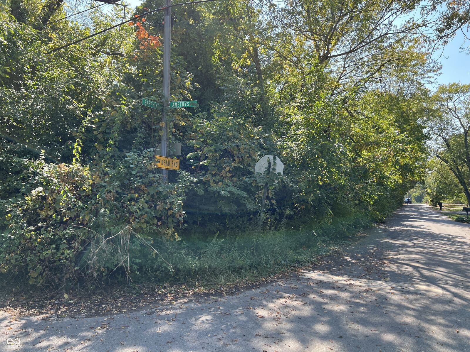 Property Photo:  7851 Amethyst Avenue  IN 46268 