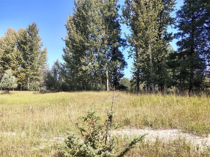14 A, 11 Ae River Road  Kalispell MT 59901 photo