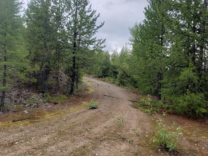 Property Photo:  Lot 19 Nine Mile Road  MT 59846 
