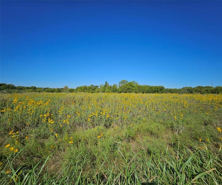Property Photo:  Lot 29 Phillips Court  TX 76234 