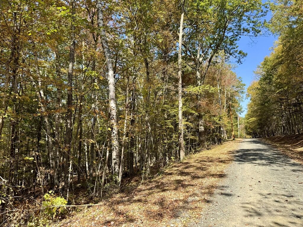 Property Photo:  0 Potters Road Extension  MA 01339 