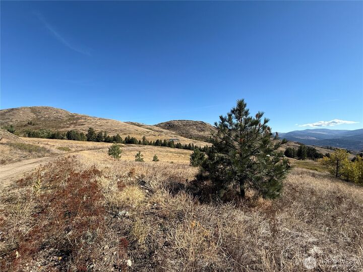 Property Photo:  0  Honeysuckle Lane  WA 99118 