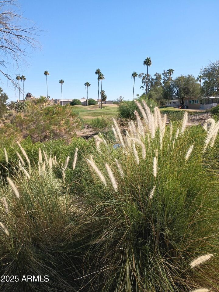 Property Photo: 17200 W Bell 155 Road 155 AZ 85374