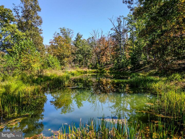 Property Photo: 1165 Red Fern Ln. WV 26704