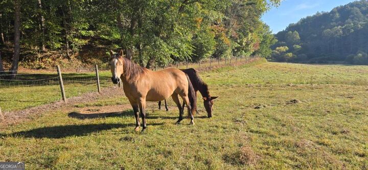 122 Black Rock Ridge  Mineral Bluff GA 30559 photo