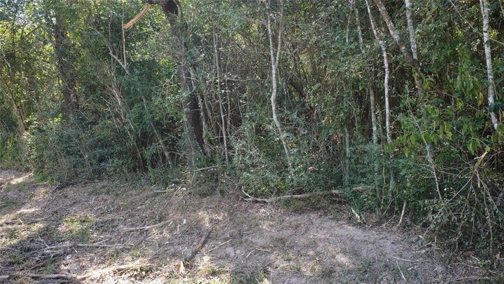 Property Photo:  0 Clear Creek Drive  TX 77447