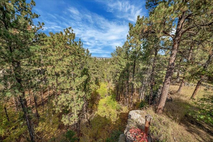 Property Photo: 213 Pine Cone Avenue SD 57783