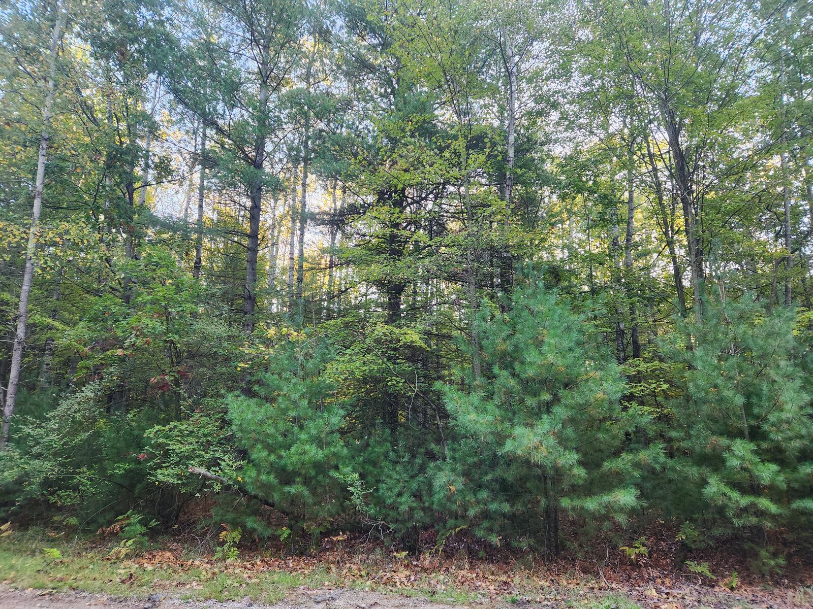 Property Photo: 6842 White Pine Drive MI 49346