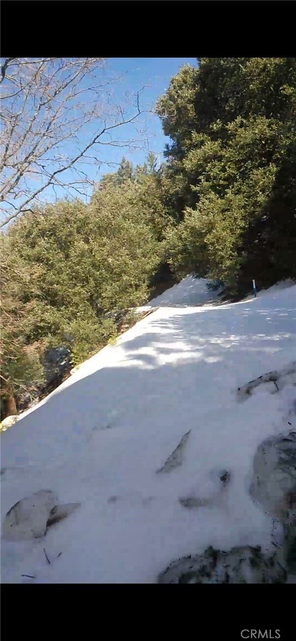 0 Saxon  Crestline CA 92325 photo