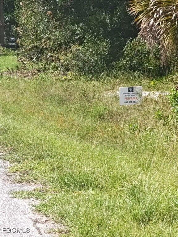 Property Photo:  1510 Horseshoe Loop  FL 33471 
