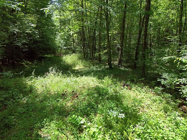 Property Photo:  Lt15/15A Hightower Ridge  GA 30546