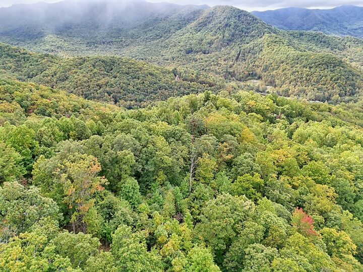 Property Photo: Lot 11 Skyview Drive NC 28904