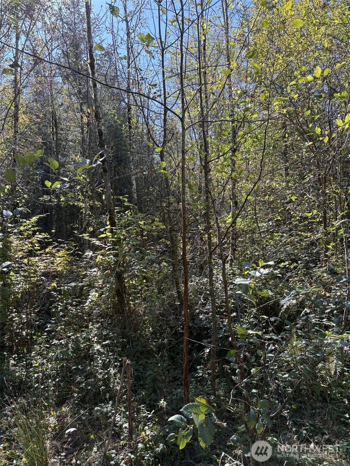 Property Photo: 0 219th Avenue SW WA 98531