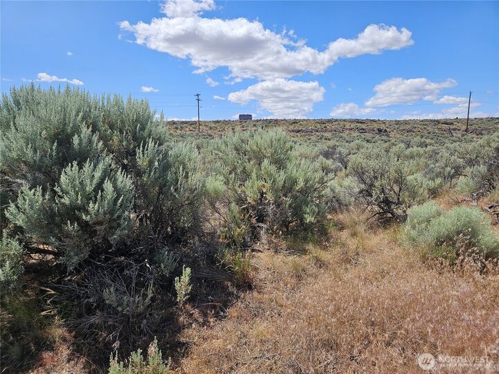 Property Photo: 14 Snaffle Court WA 98823