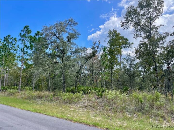 Property Photo: 2172 W Wilmington Loop FL 34434