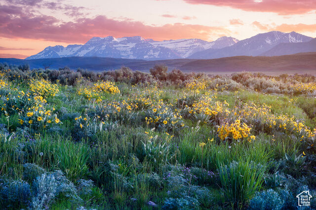 Property Photo: 1115 E Hoyt Peak Ranch Rd 4 UT 84036