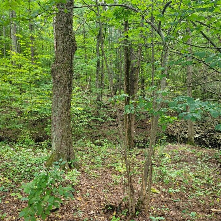 Property Photo: 363 Van Hook Road NY 13732
