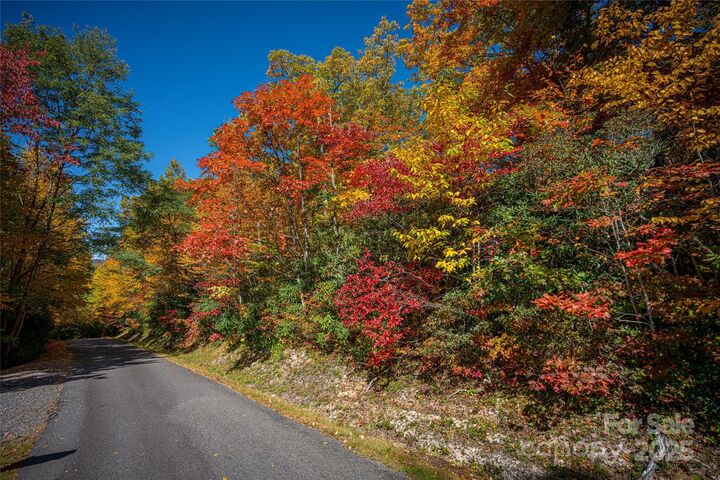 Property Photo:  205 Chickadee Lane 205  NC 28751 