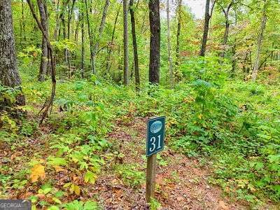 Property Photo: Lot 31 Skyview Drive NC 28904