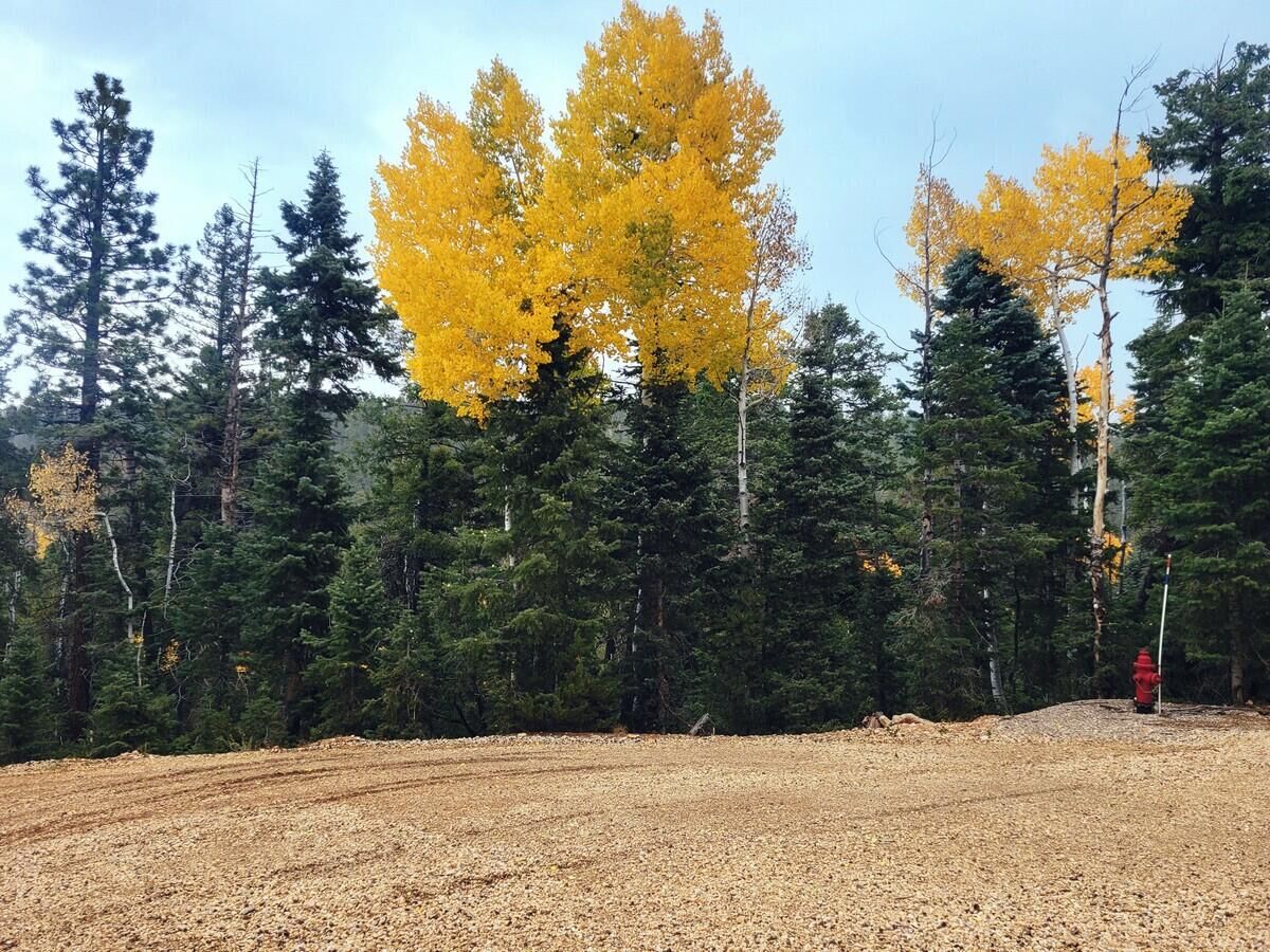 Property Photo:  45 S Quakie Place  UT 84762