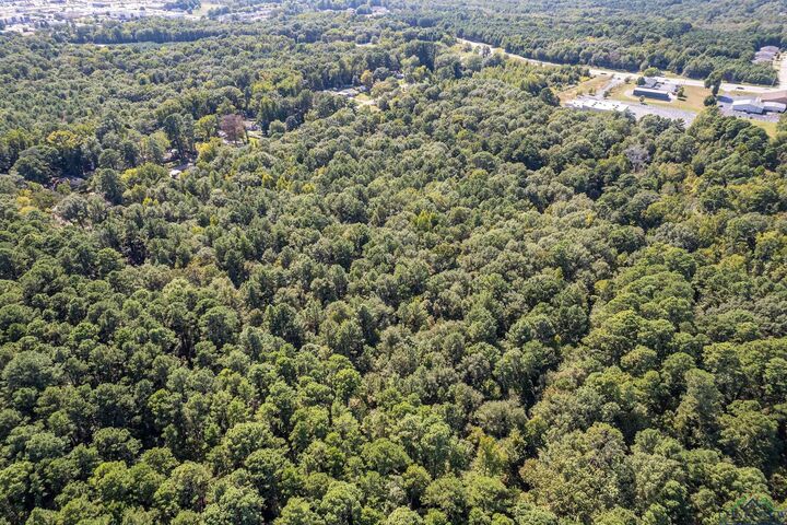 Property Photo: Tbd N Judson Rd TX 75605