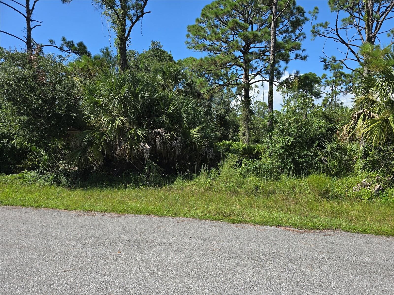 Property Photo:  14506 Carousel Lane  FL 33953 