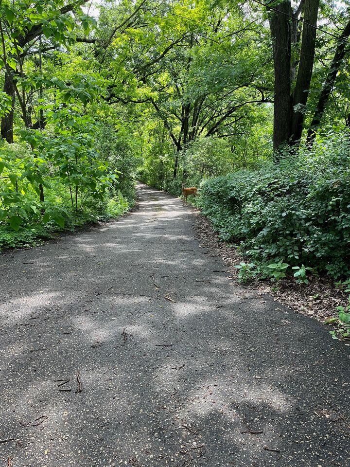 Property Photo:  5338 Highland Rd  MN 55345 