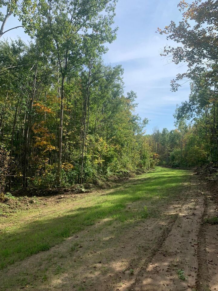 Property Photo:  Tbd County Road T 2  WI 54830 