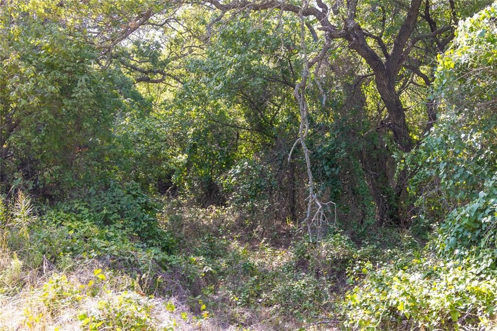 Property Photo: 2029 Lot 4 Highway 183 TX 76437