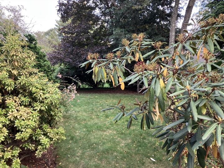 Property Photo:  0 Glenoe Rd  MA 02467 