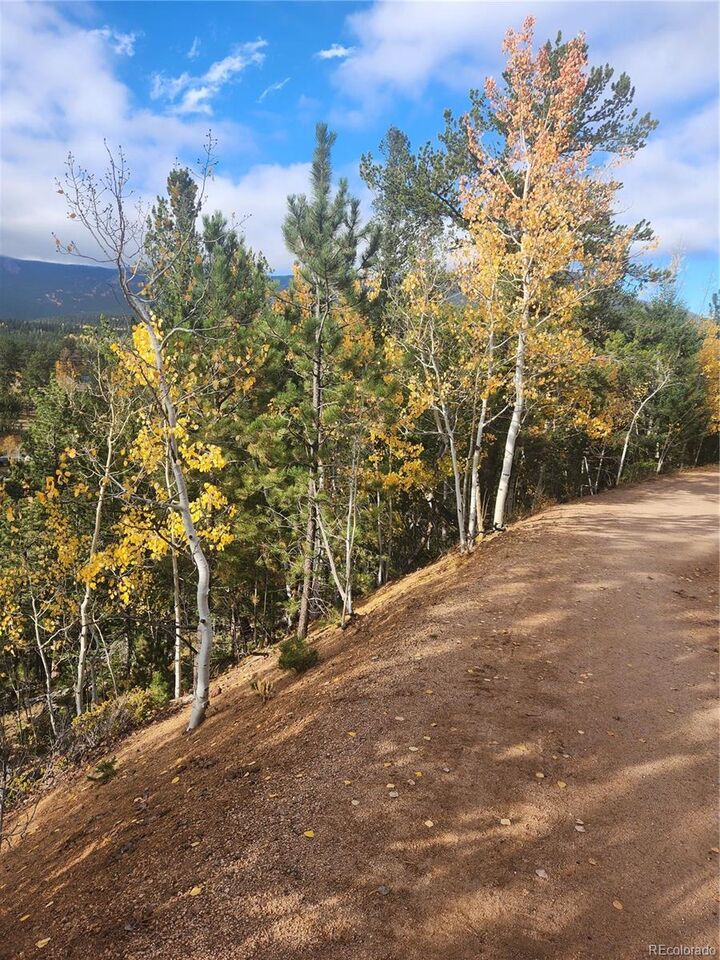 Property Photo: 72 Hall Road CO 80421
