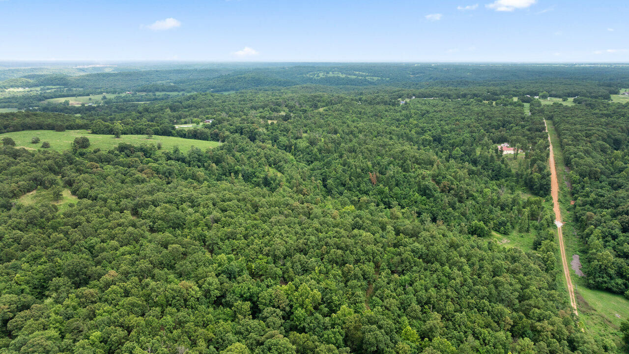 Property Photo:  Tract 10 Styles Road  MO 64854 
