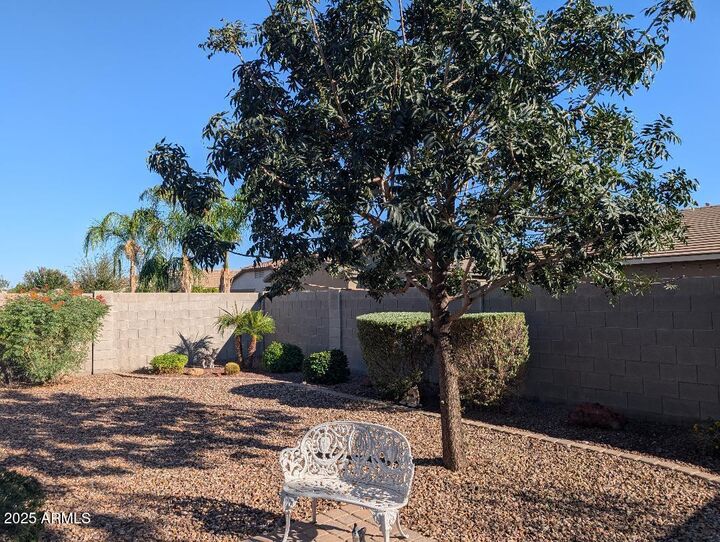 Property Photo: 859 W Sisso Tree Avenue AZ 85140